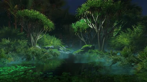 Soirée dans la jungle tropicale