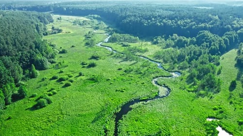 Winding river and green swamps at sunrise