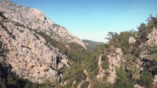 Flying over rocky mountain, discovering majestic green pine tree forest.
