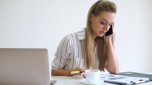 Blonde Business Woman Working at Modern Office