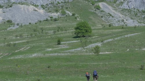 Hikers Explore Grassy Mountain Landscape
