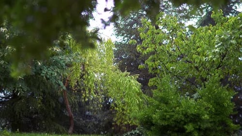 Regen (4K)