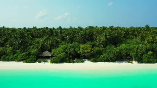 Aerial drone shot sky of relaxing island beach trip by shallow ocean and bright sand background of j