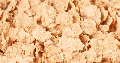 Crispy Golden Brown Cereal Flakes Close-Up Shot