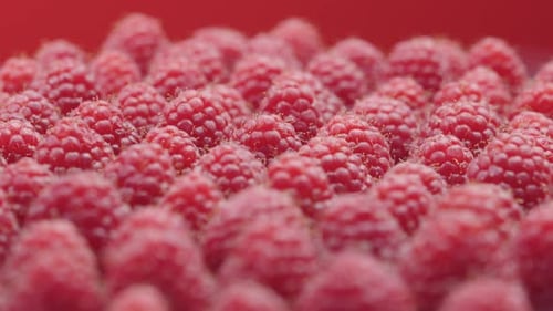 Rotation rapprochée des framboises sur fond rouge
