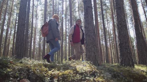 Zwei gealterte Wanderer im Wald
