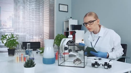 Scientist Taking Notes in a Laboratory with Rodent