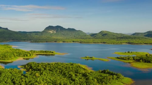 Tropical Forest and Lake Aerial View