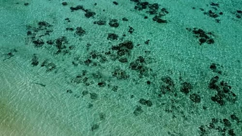 Tropical Beach Top View