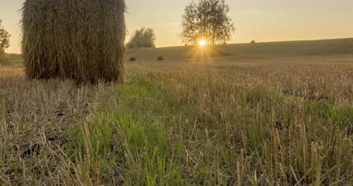 Flat Hill Meadow Timelapse at the Summer Sunset Time. Wild Nature and Rural Haystacks on Grass Field