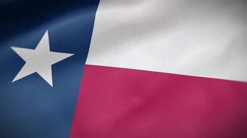 Realistic Waving Texas Flag 3D Animation Seamless Loop