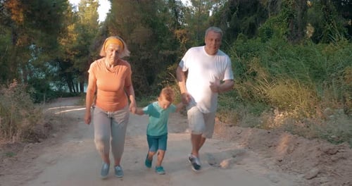 Evening run together in the woods