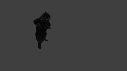 3D Black Panther Roaring and Jumping Animation Isolated