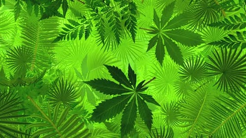 Seamless Looping Animation of Green Tropical Leaves Background