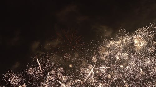 Spectacular Fireworks Exploding in the Night Sky