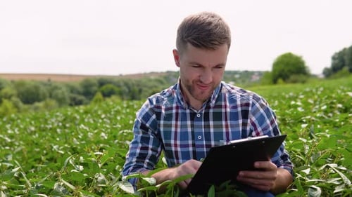 Agronomist Inspecting Soya Bean Crops Growing in the Farm Field