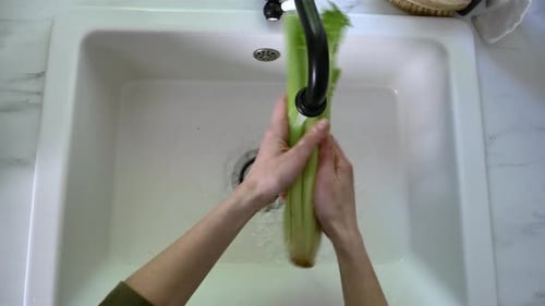 Femme lavant le céleri dans l'évier dans la cuisine