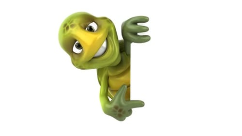 Fun cartoon turtle