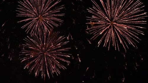 Colorful real fireworks show performance display celebration festival holiday on dark sky.