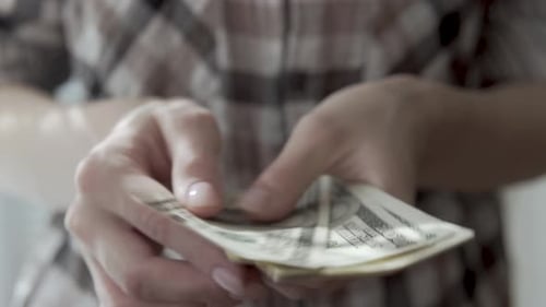 Woman counts money in the hands of dollars close-up