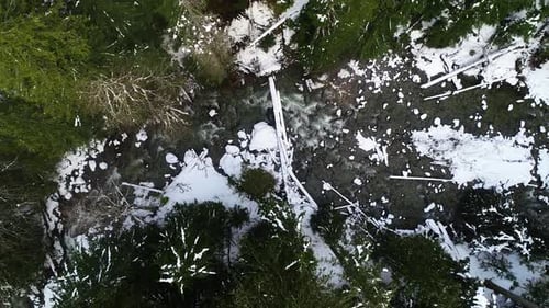 Snow River Falls Top Down High Angle View Pacific Northwest Woodlands Forest Icy Nature Scene