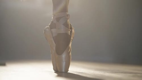 Ballerina Posing En Pointe in Pink Shoes