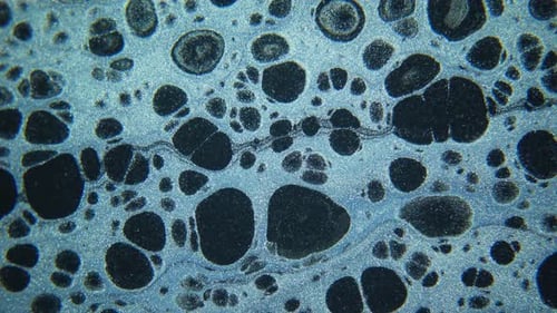 Macro Ink Spreading Creating Abstract Patterns