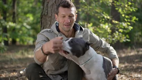Front View Positive Caucasian Man Sitting at Tree Trunk in Forest Feeding Dog in Slow Motion