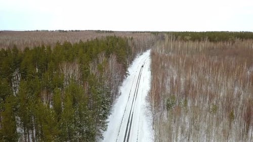 Cars On The Winter Forest Road