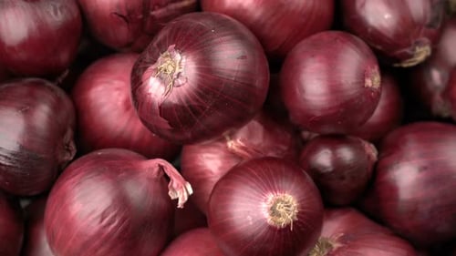Rotating Red Onions Background