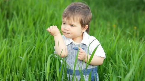 Lustiger kleiner Junge mit blauen hellen Augen im Overall, der frisches grünes Gras in einer großen Blüte isst