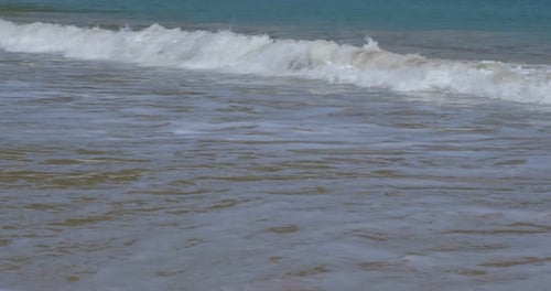 Sandy beach with water wave