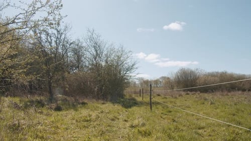 Tracking Shot of a Countryside Meadow and Fence