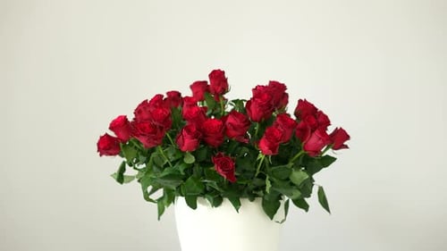 Bouquet of Red Roses in a White Vase