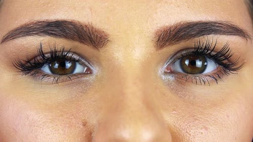 Woman's Eye with Makeup, Close Up Shot