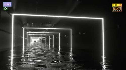 Motion Neonlicht Vj B3 HD