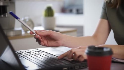 Freelancer Woman Works at Laptop