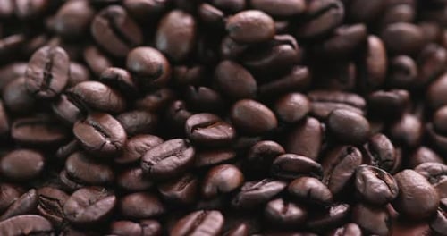 Coffee Bean