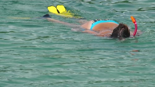Snorkelling in the Clear Turquoise Water