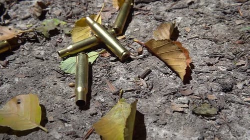 Bullet casings fall to the ground. Shooting in the forest. Slow motion.