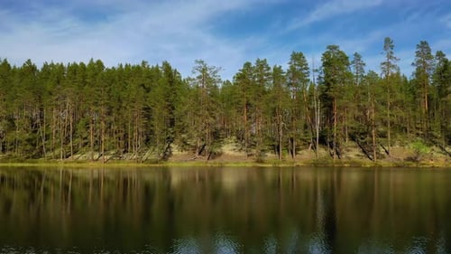 Aerial View of the Lake and Forest in Finland