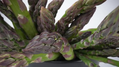 Asparagus 33