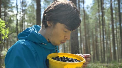 Man Eats Fresh Berries in Forest Sunlight