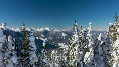 Aerial View Flying Close to Snow Covered Trees in Winter Mountain Landscape