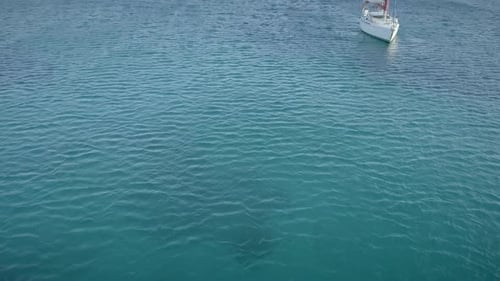 Aerial view of sailboats sailing cross blue and clean sea in Greece.