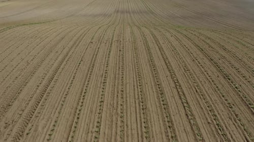Landwirtschaftliche Fläche