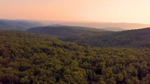 Colorful Sunset over Forest Mountains