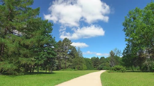 Park 4K