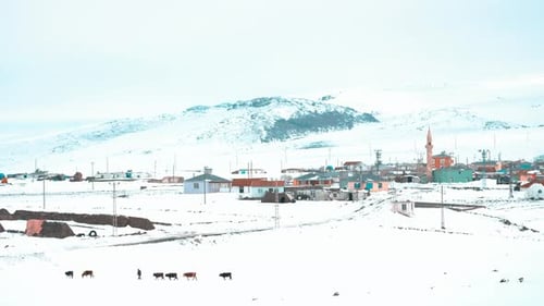La vie dure en hiver
