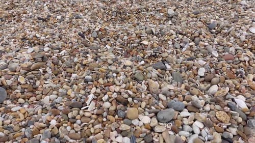 Umzug über Strandkiesel